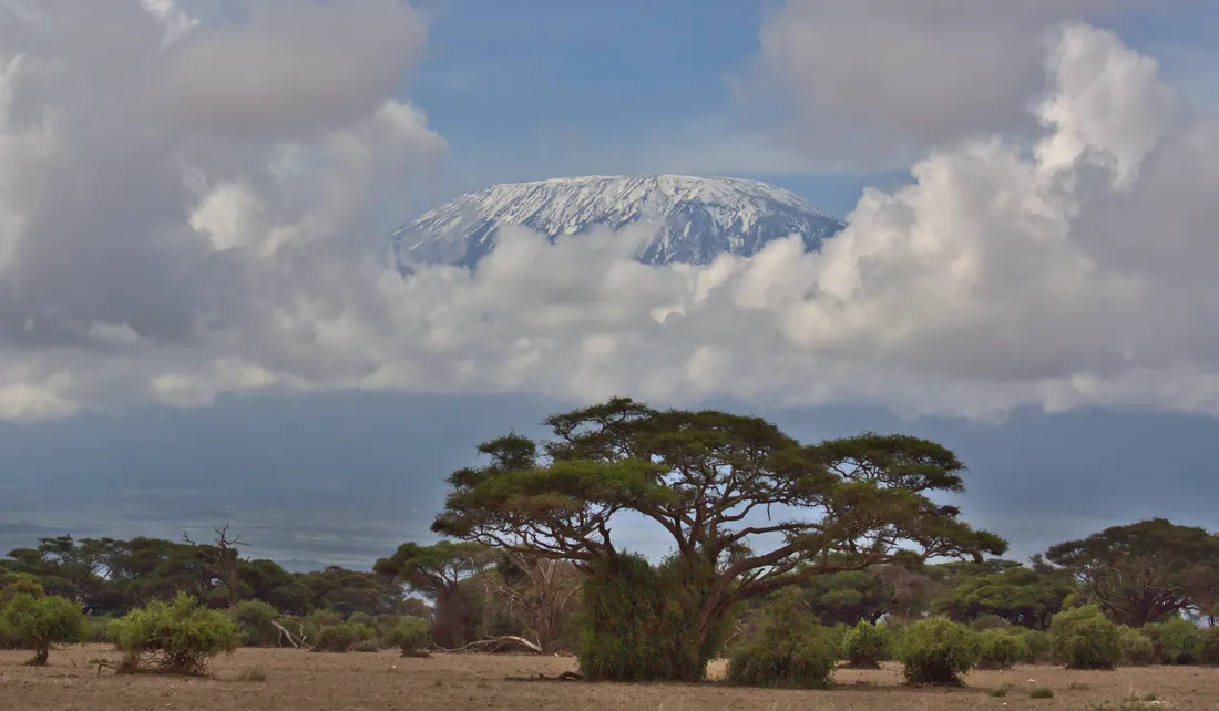 Kilimanjaro