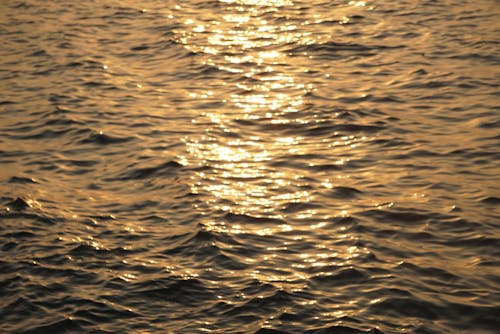 sunlight on water