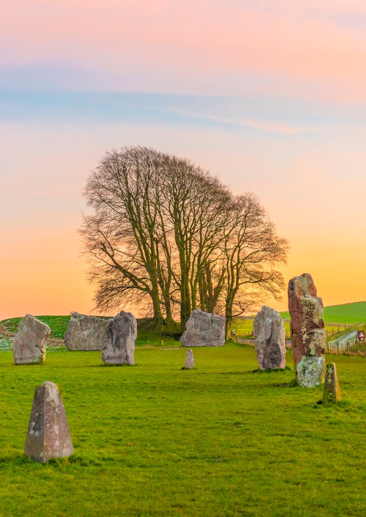 Stone Near Tree