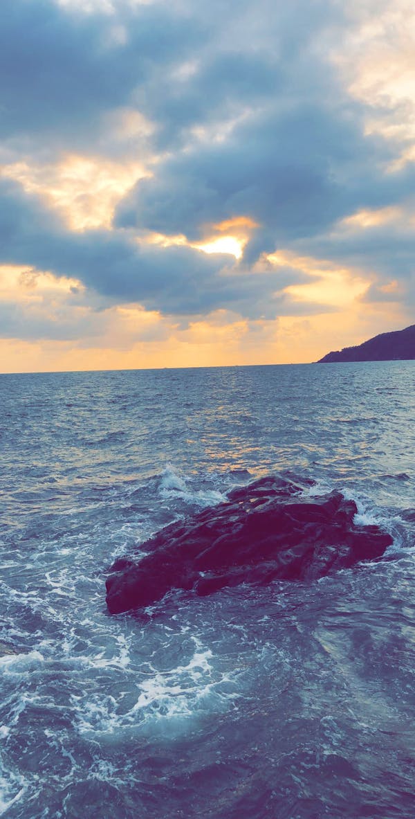 Leche fresca y frutas