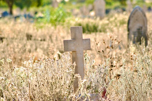 Stone Cross on Cemetery