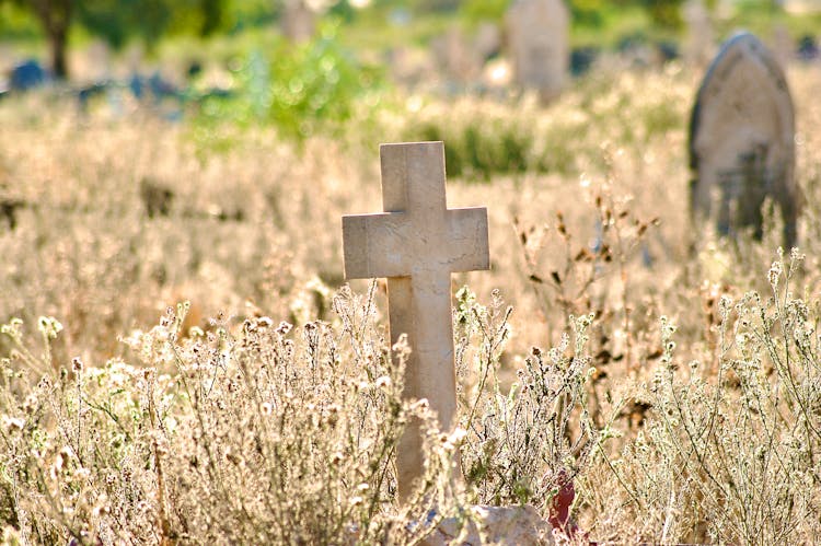 Stone Cross On Cemetery