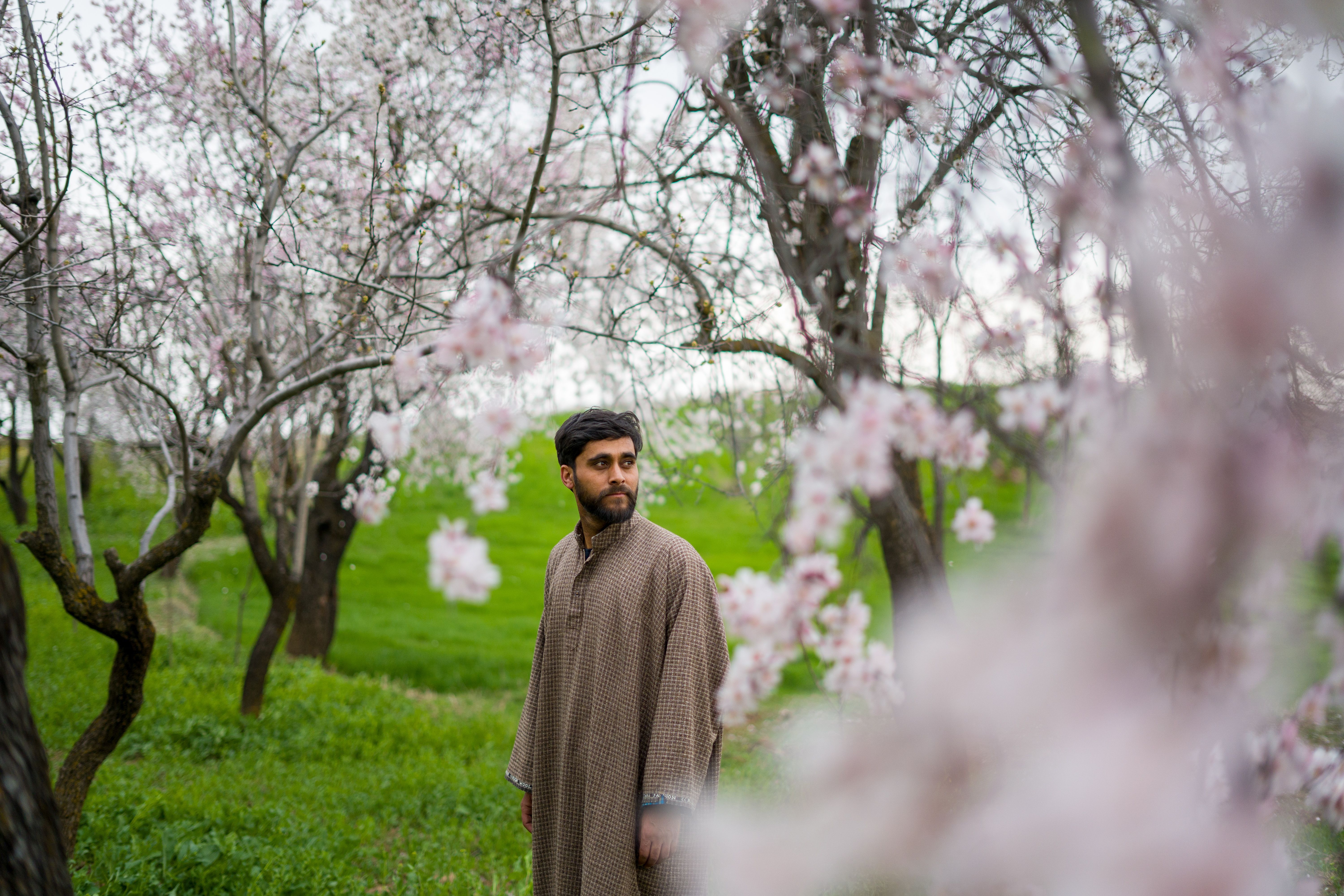 Kashmir Pashmina