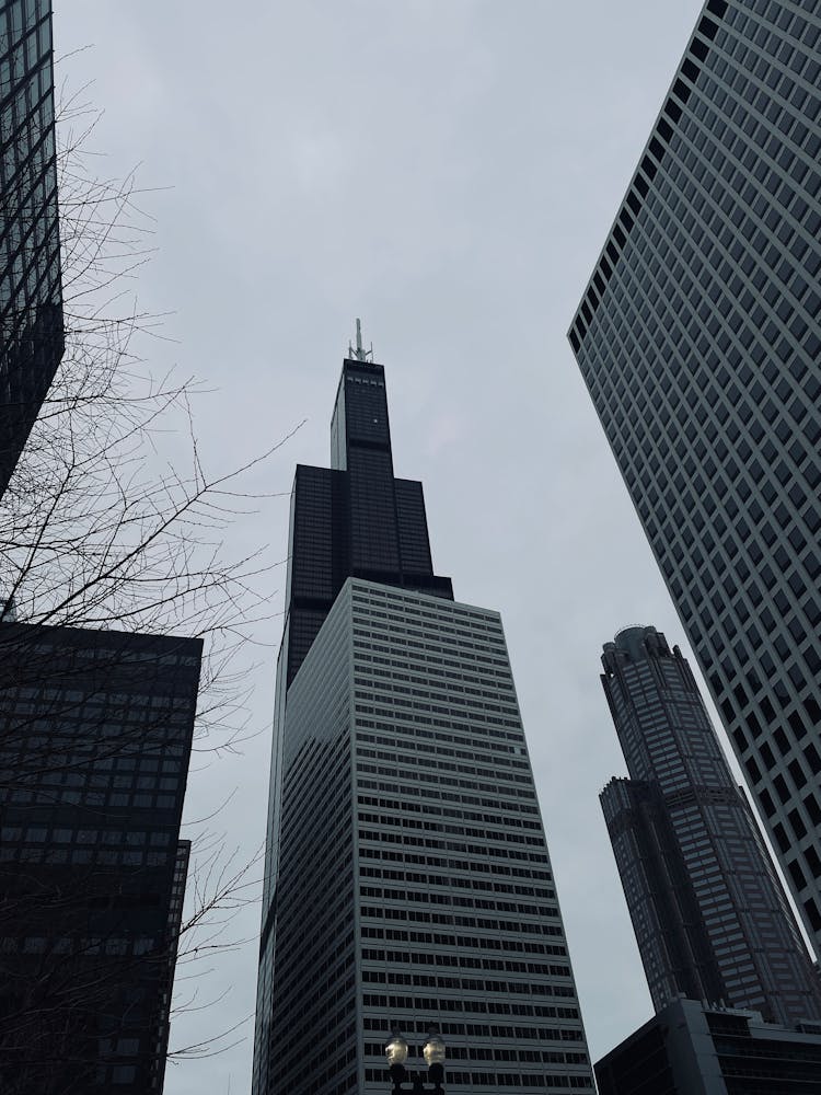 Willis Tower In Chicago