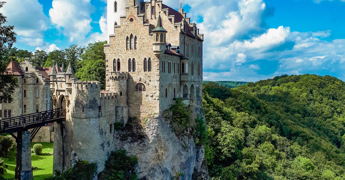What means audacity in German