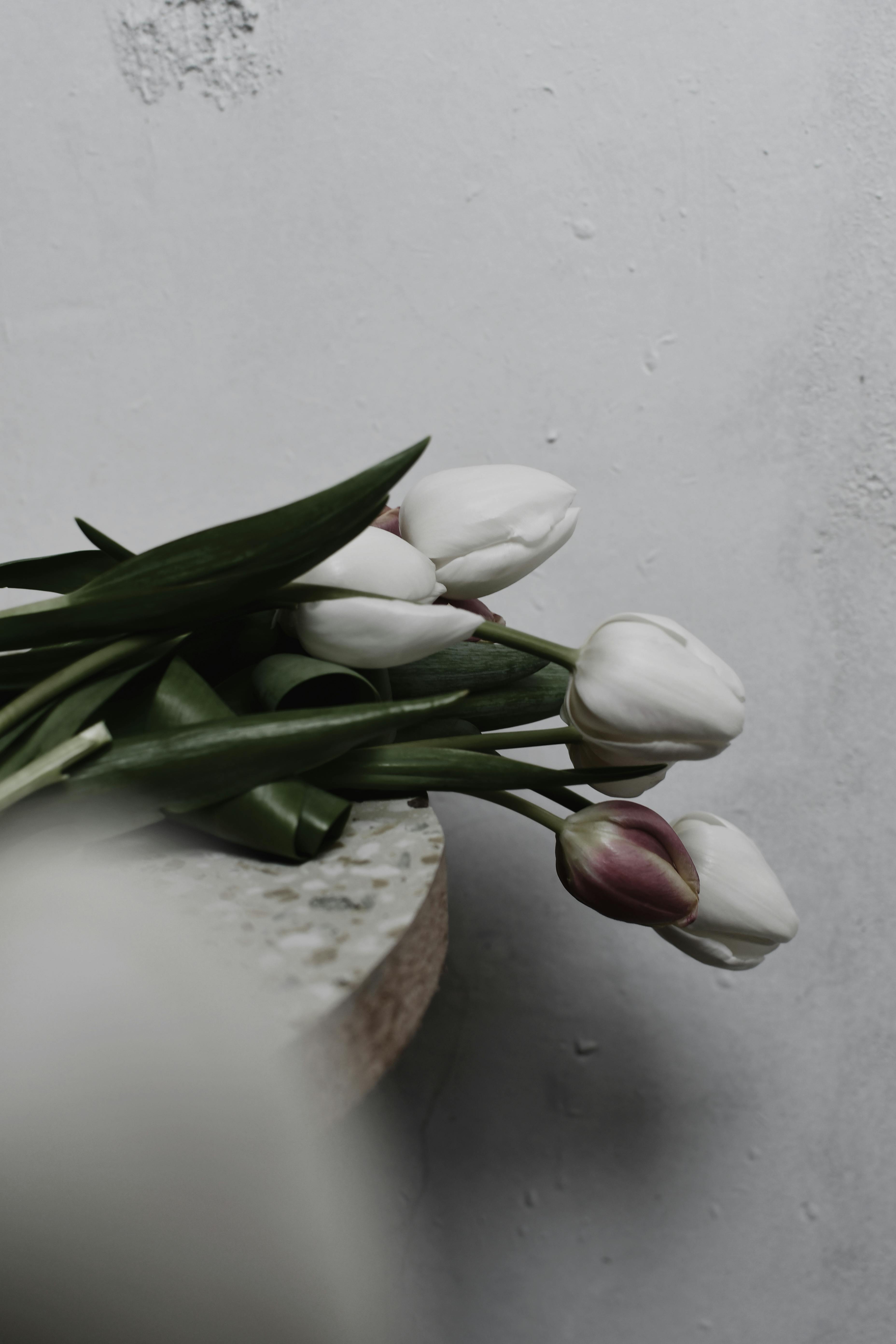 bouquet of white tulips on the edge of the table