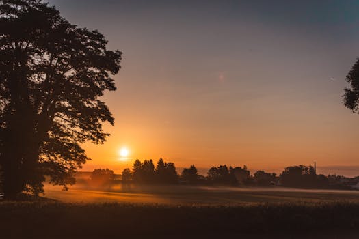 Scenic rural landscape with sunrise casting warm light over trees and fields.