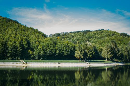 Free Tranquil lakeside scene with lush trees reflecting in calm water on a sunny summer day. Stock Photo