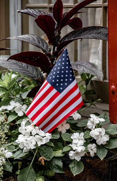 Plants and Flowers around Flag of USA  Free Stock Photo