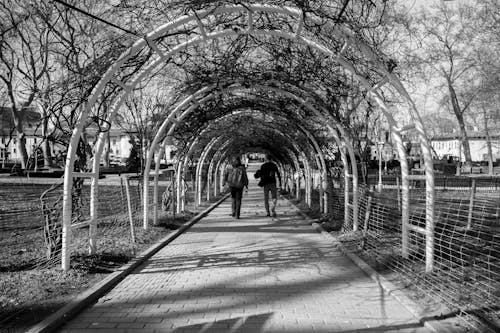 People Walking in Alley at Park in Black and White