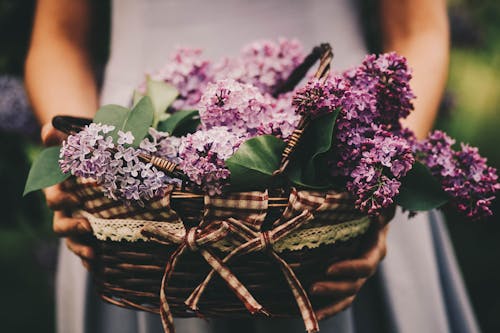 Foto Van Vrouw Met Mand Met Paarse Bloemen