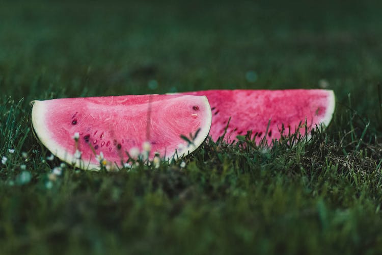 Two Slices Of Watermelons On Grass