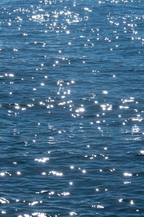 바다, 반사, 반짝이는의 무료 스톡 사진