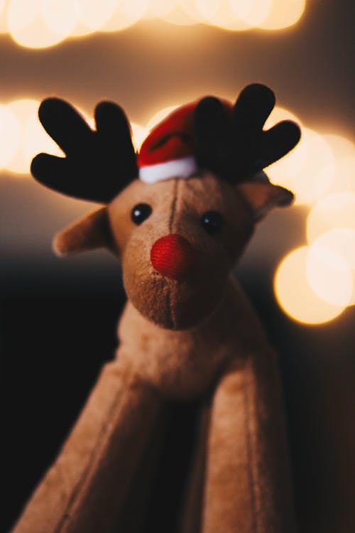 Rudolph Plush Toy