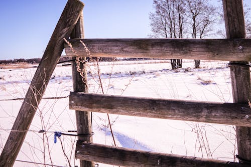 Ingyenes stockfotó hideg, hó, kerítés témában