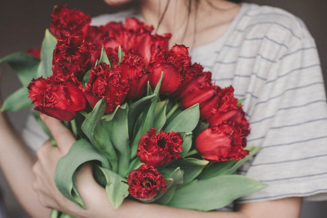 Free Woman Holding Bouquet of Red Flowers Stock Photo