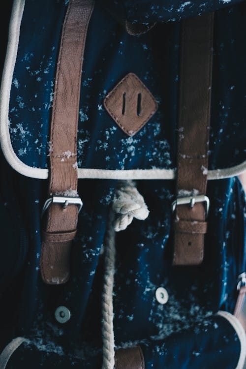 Free Blue and Brown Backpack Stock Photo