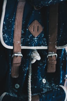 时尚蓝色和棕色雪地背包的详细图片，非常适合冬季时尚