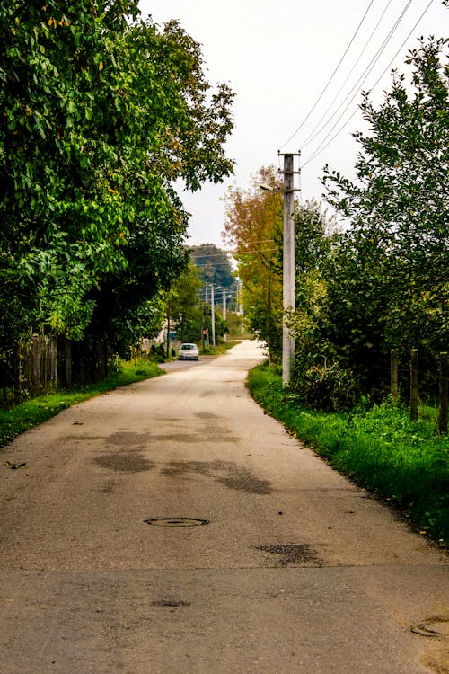 Gratis stockfoto met gebladerte, lange weg, straten