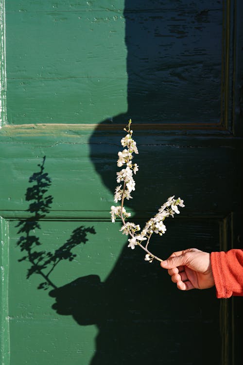 Flower Branch in Hand