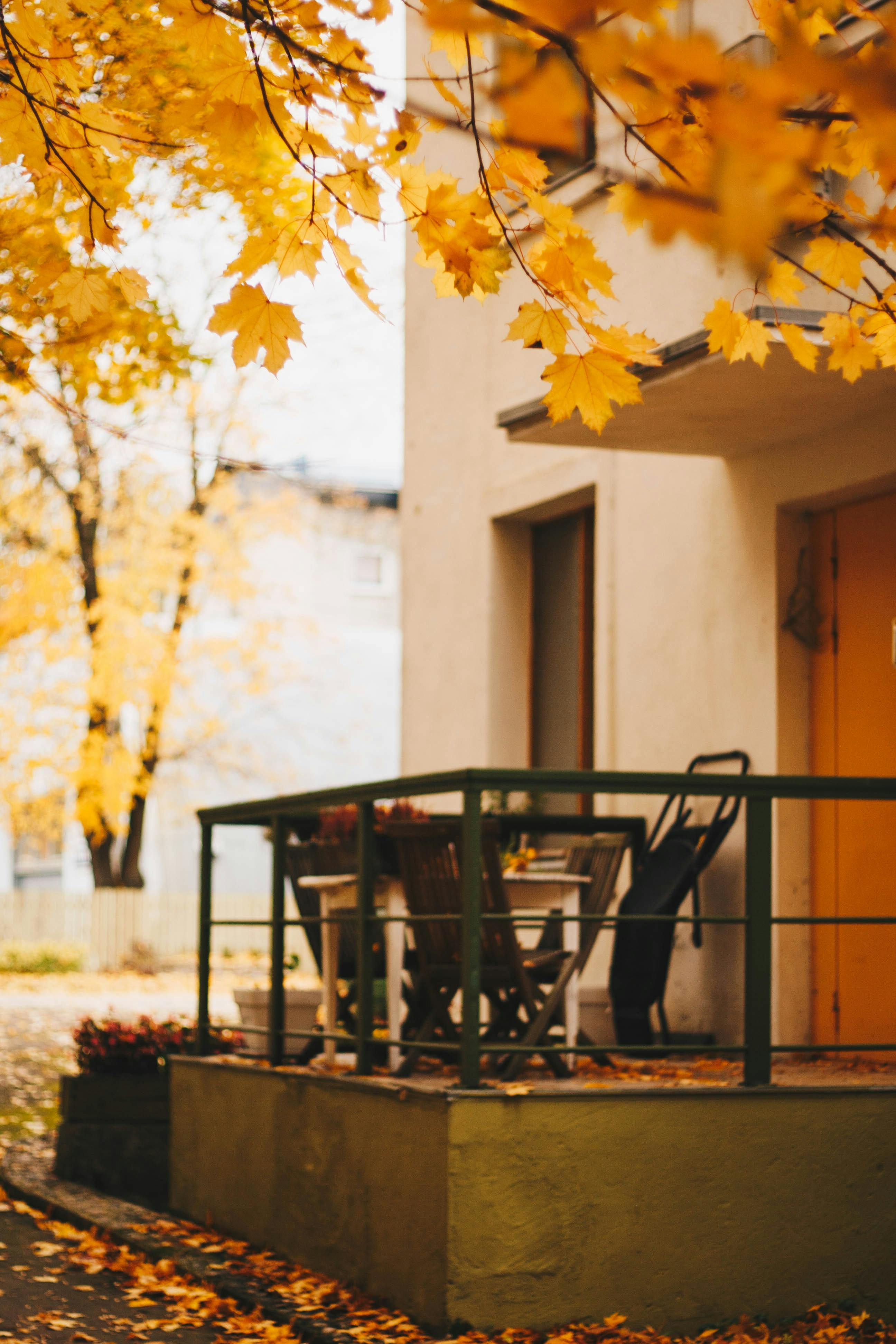 selective focus photography of patio set