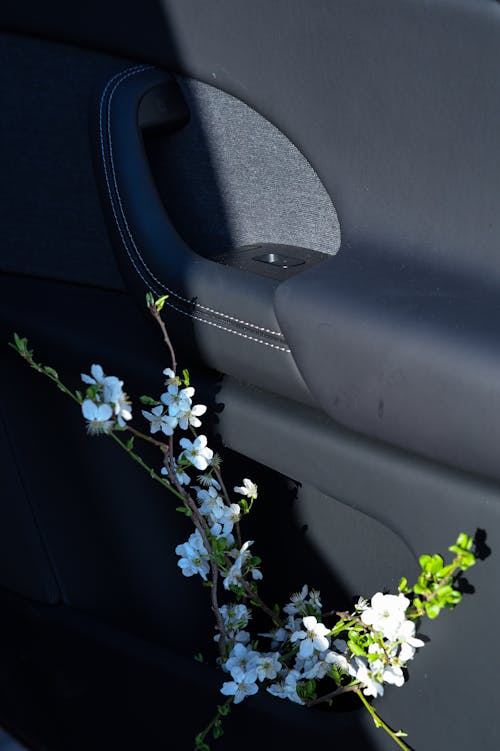 araba iç mekanı, araba kapısı, Beyaz çiçekler içeren Ücretsiz stok fotoğraf