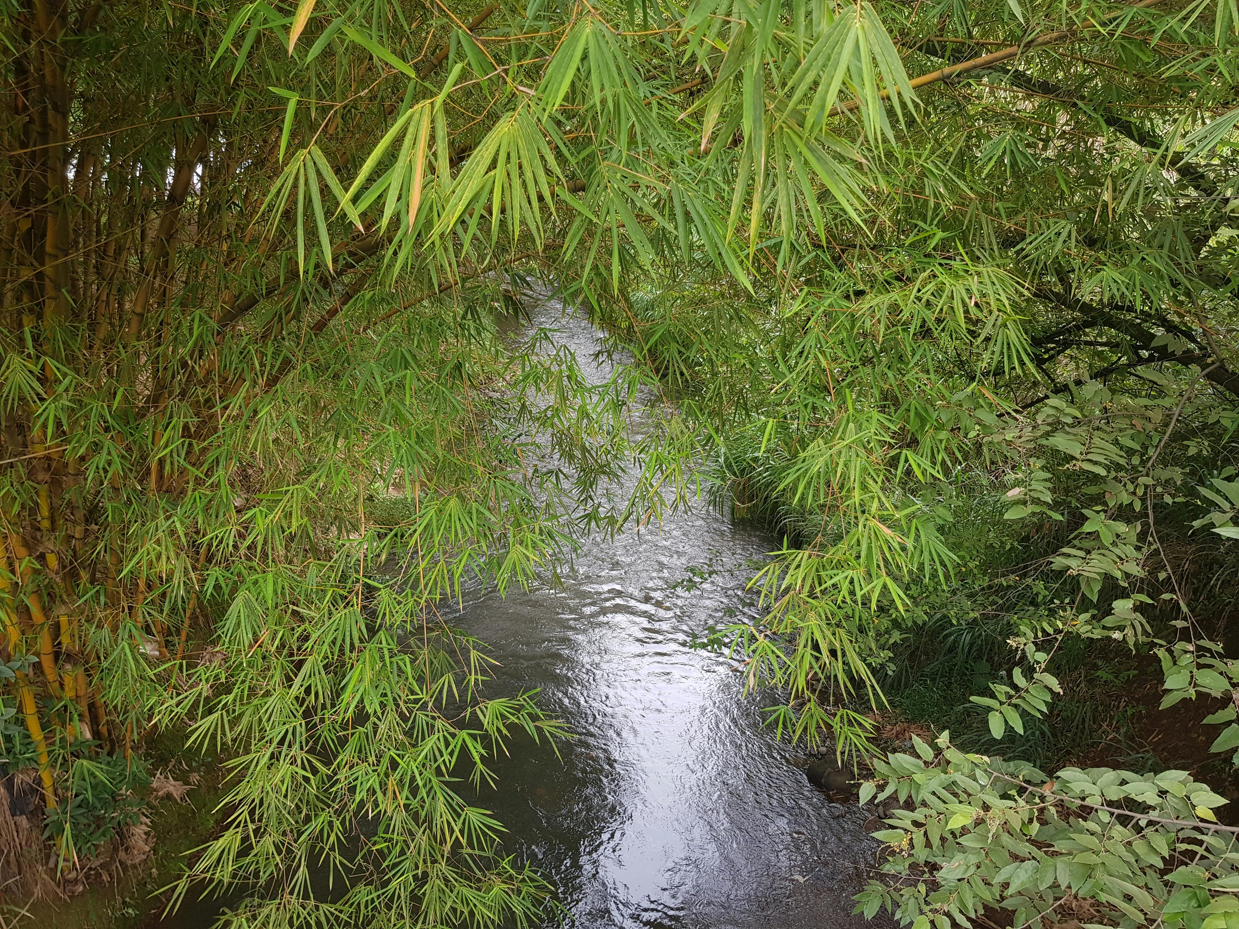 Elegant plated dish at a fine dining restaurant