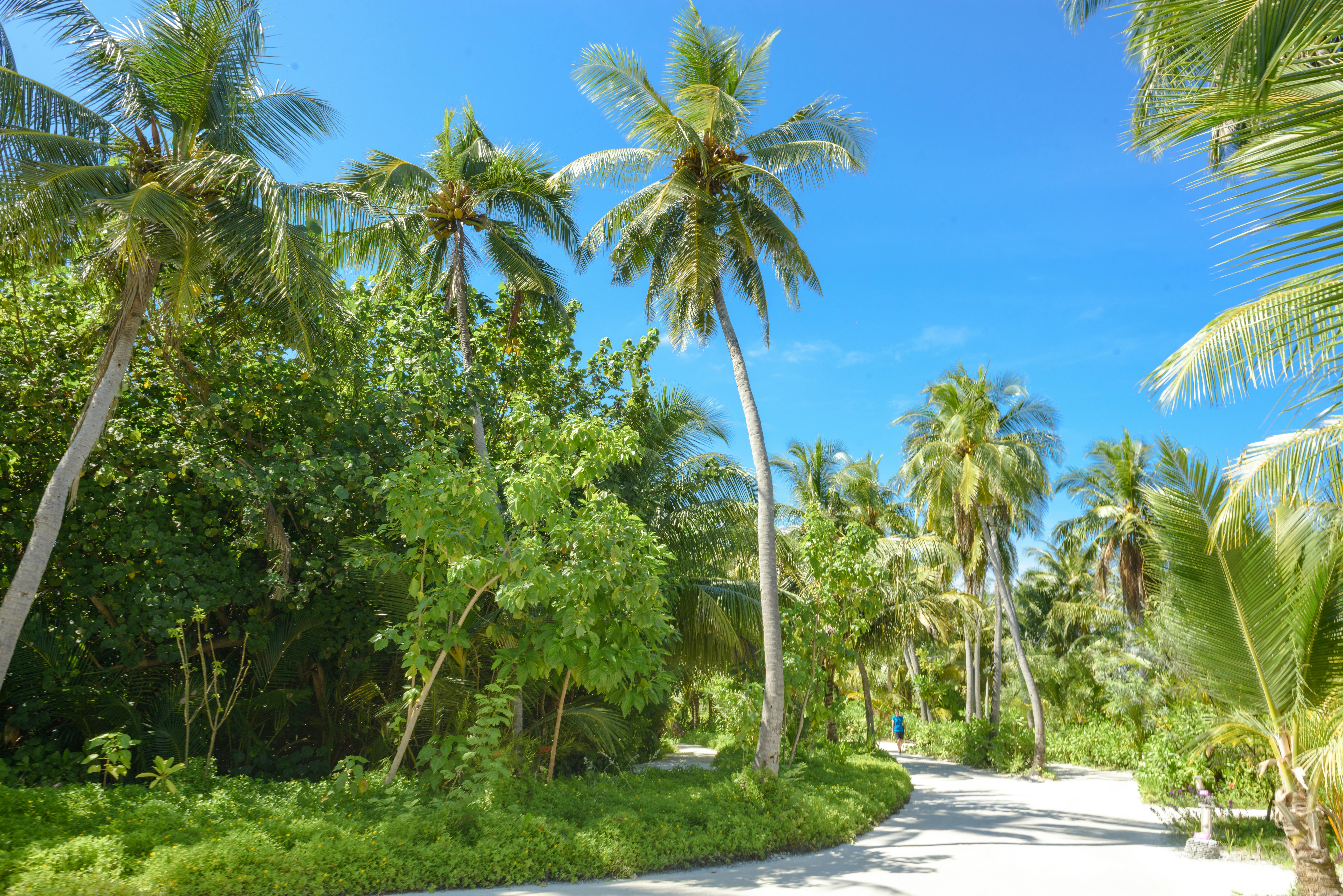 لاعبان يتنافسان على الكرة في مباراة قمة
