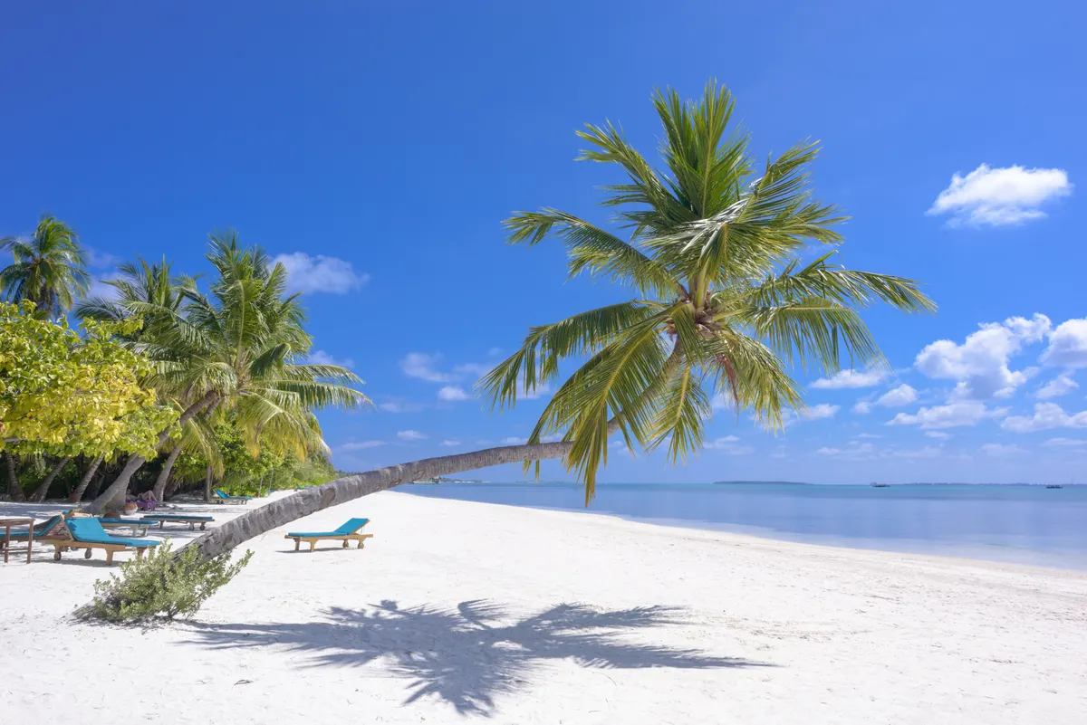 Beach Resorts