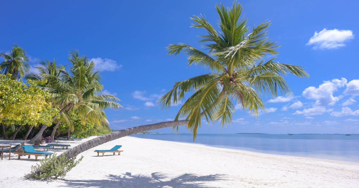 Utah Solar Installation: Complete 2025 Guide