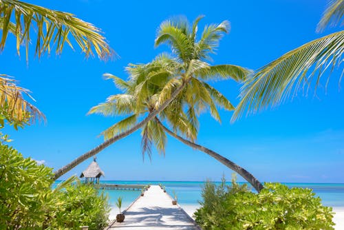 Maldives Resort