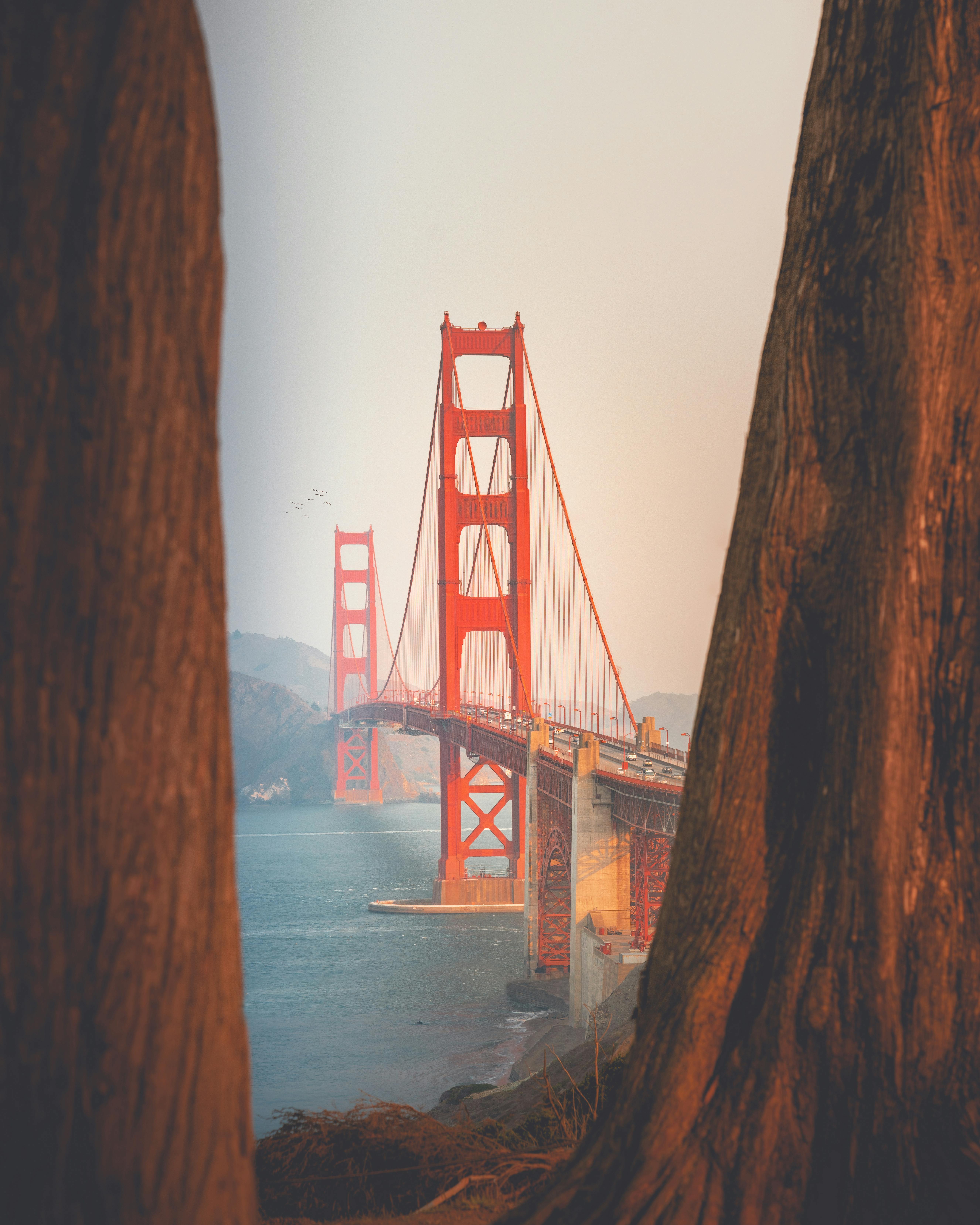 Golden Gate Bridge, San Francisco · Free Stock Photo