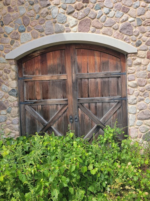 Bush and Wooden Door behind