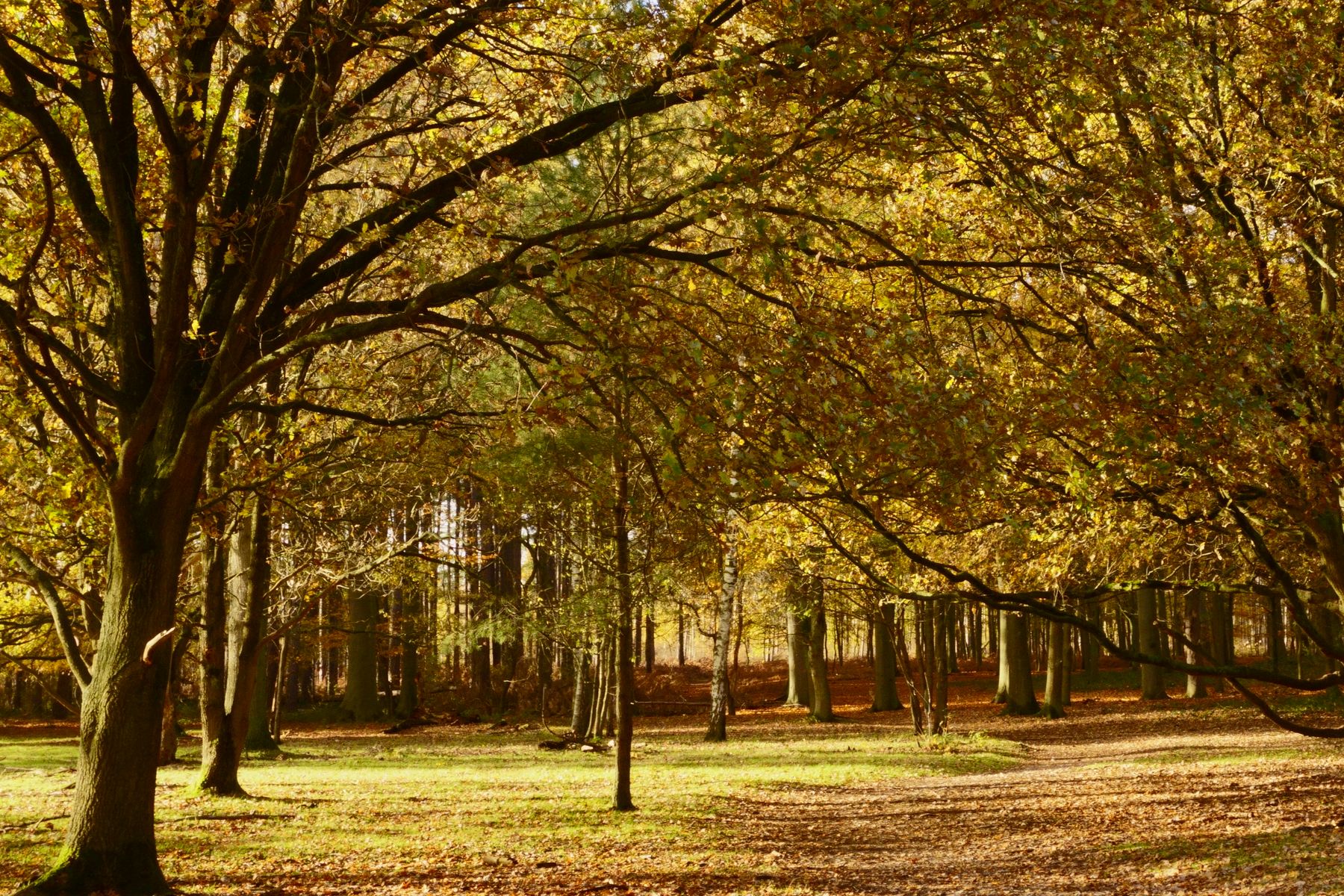 Basingstoke with Kids: A Day Trip from Reading