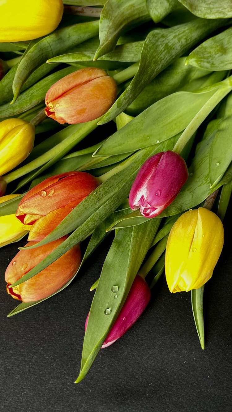 Photo Of A Bouquet Of Colorful Tulips