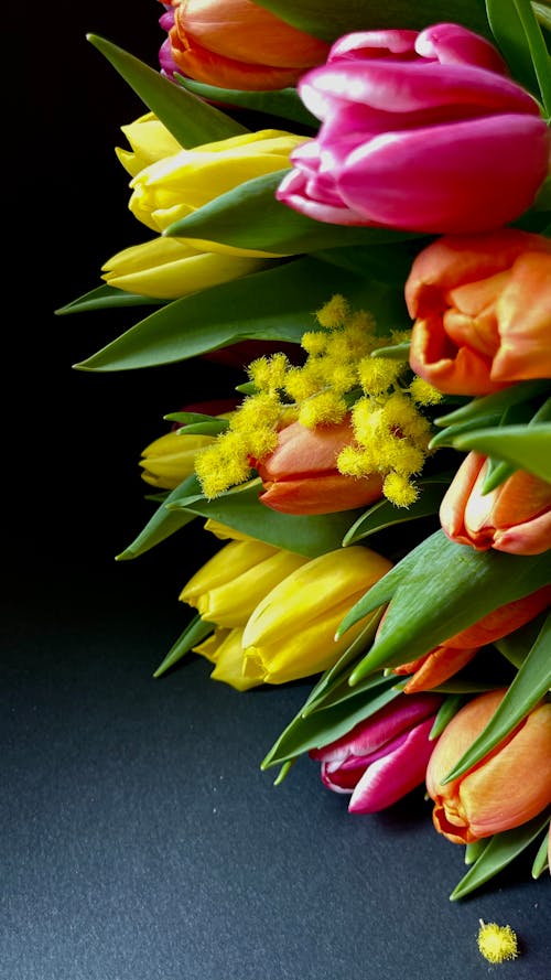 Closeup of a Tulip Bouquet