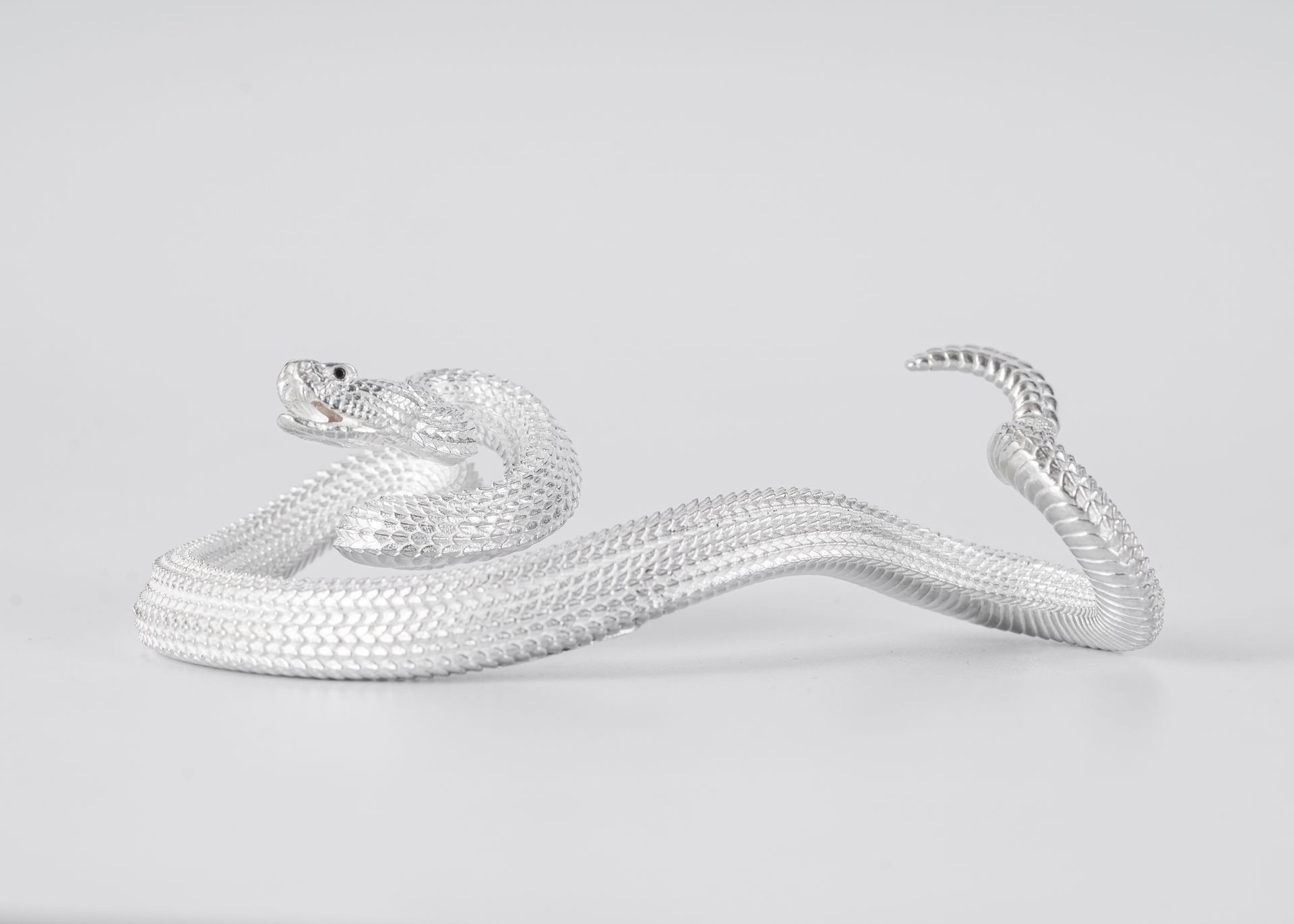 Intricate silver snake jewelry on a white background, showcasing detailed craftsmanship.