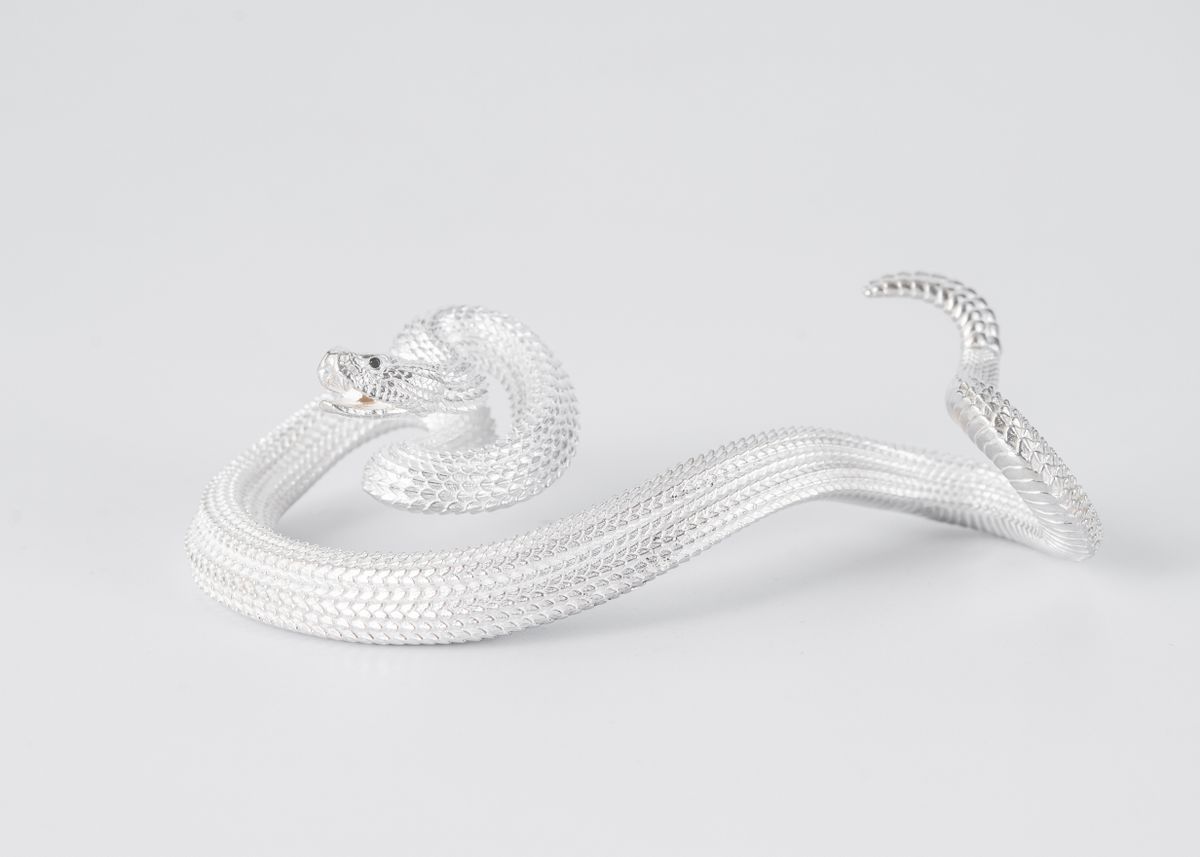 Snake White Background Photos, Download The