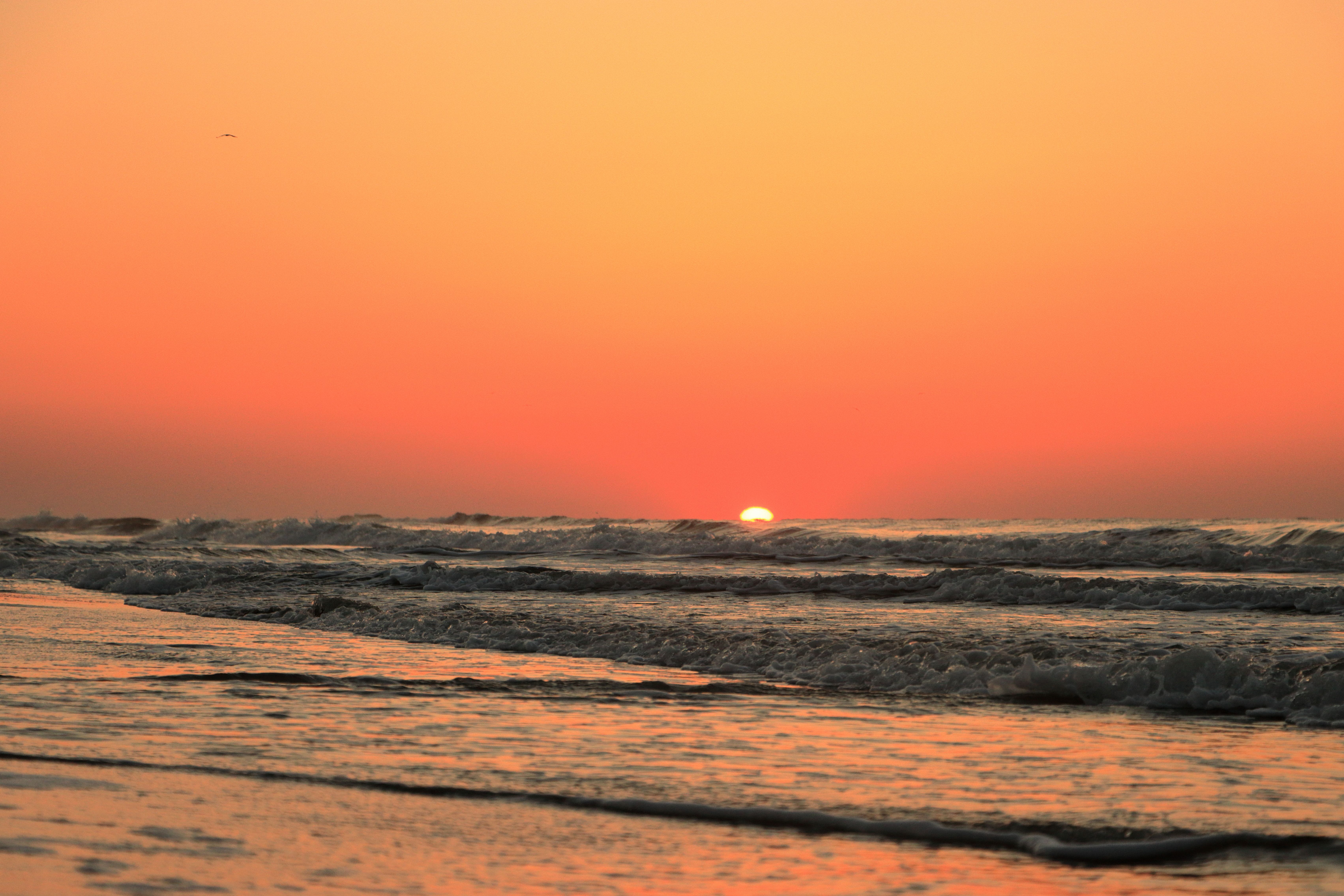 A captivating sunrise view over the Atlantic Ocean on Hilton Head Island, showcasing serene beach scenery and warm golden hues.