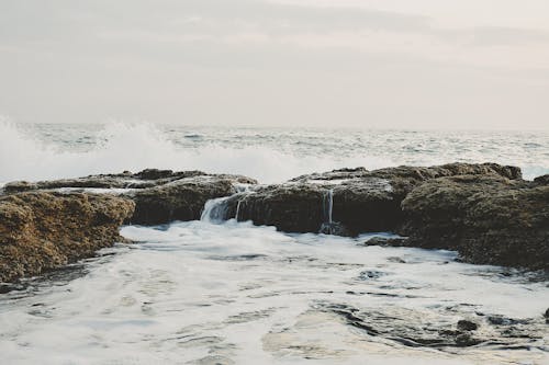 海の上の岩の写真