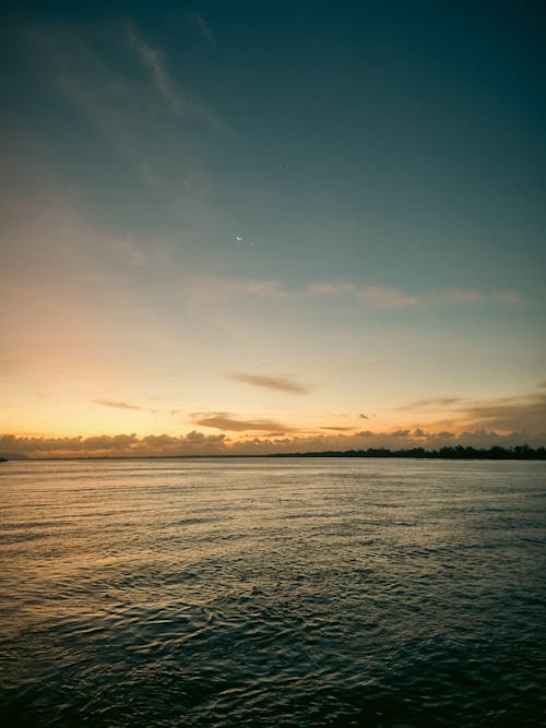 Foto d'estoc gratuïta de alba, horitzó, litoral