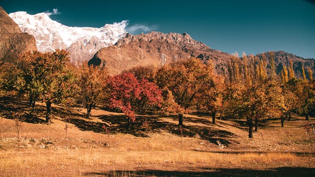 Beautiful autumn scenery in Karimabad featuring vibrant foliage and snow-covered peaks.