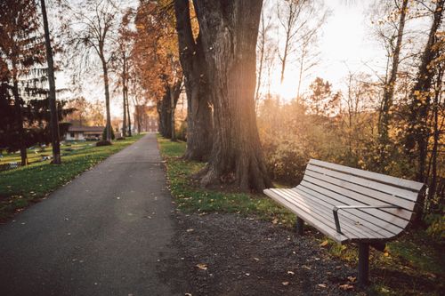 Free Serene autumn pathway in Einbeck with a wooden bench and sunlit trees. Stock Photo