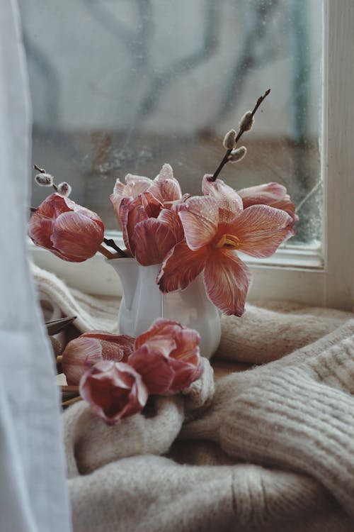 Flower in Vase on a Windowsill