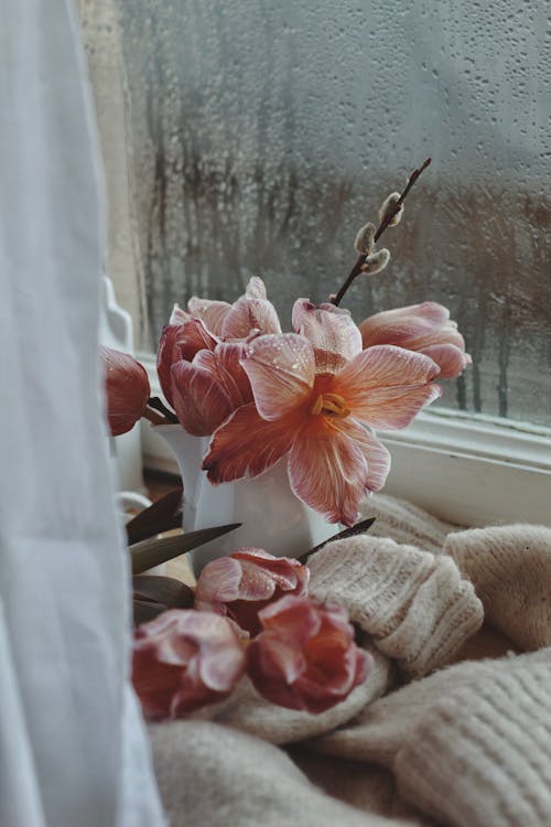 Flowers in Vase on Windowsill