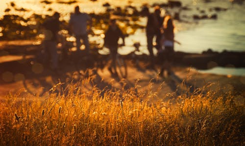 Δωρεάν στοκ φωτογραφιών με αγροτικός, ανάπτυξη, Άνθρωποι