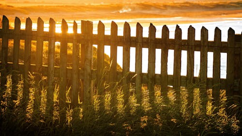 Free Brown Wooden Fence Near Body of Water Stock Photo
