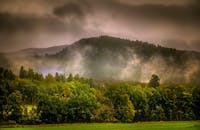 森林里云雾缭绕，绿树成荫，虽然乌云密布，但景色依然宜人