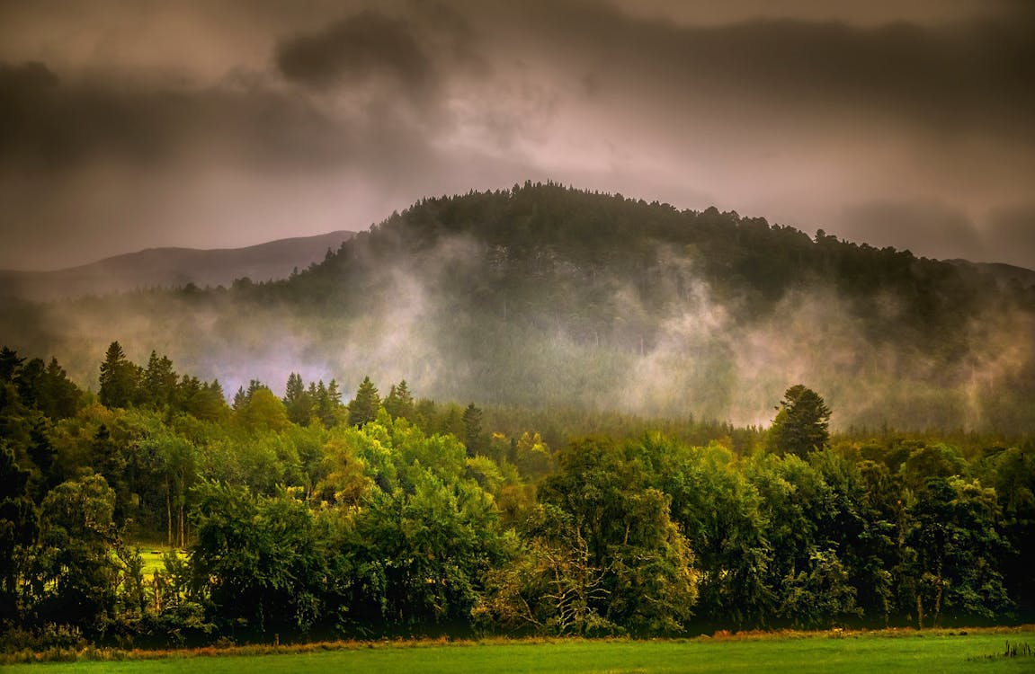 Základová fotografie zdarma na téma bouře, déšť, farma