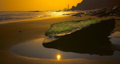 宁静的海滩上，美丽的日落映照着苔藓覆盖的岩石和平静的水域，金色的天空倒映其中